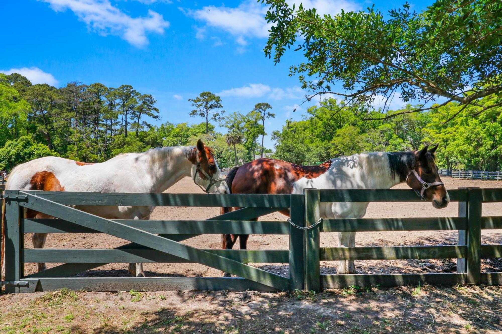 5 Rice Lane Villa Pulau Hilton Head Luaran gambar